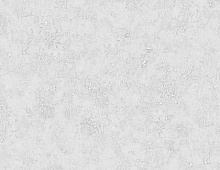 Grandeco Originale R161113