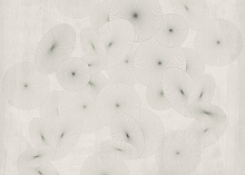 Фотообои плотностью 300 гр/м2 Factura CREATIVE WAGASA 4