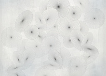 Фотообои плотностью 300 гр/м2 Factura CREATIVE WAGASA 3