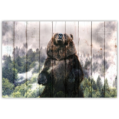 Картины ZOO - 33 Медведь, ZOO, Creative Wood Картины ZOO - 33 Медведь, ZOO, Creative Wood