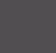 Детские серые обои Loymina Materials Lotus Universe LOT2, 604
