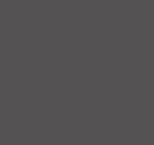 Детские серые обои Loymina Materials Lotus Universe LOT2, 605