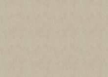 Marburg Terra 0,53 см 34625