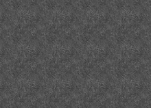 Обои шириной 70 см и длиной 10,05 метров Zambaiti Trussardi VIII Z30343