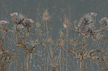 Factura FLORA TERRA ORE 5