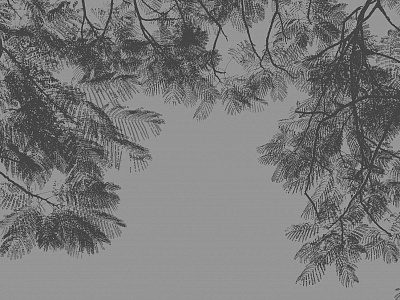 Фотообои Vetve 11, VETVE, Wall street Фотообои Vetve 11, VETVE, Wall street