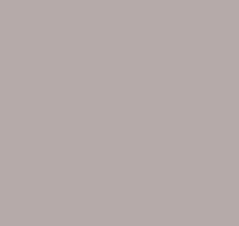 Капучино обои для стен Loymina Materials Lotus Universe LOT2, 306